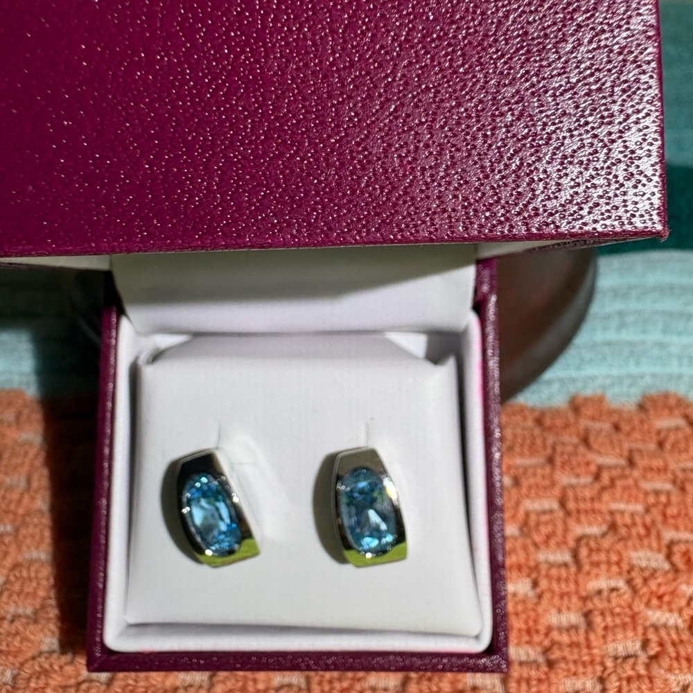 Helzberg Diamonds Blue Topaz earrings